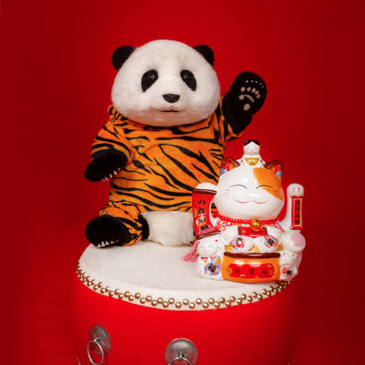 Clothes of Sitting Pandas