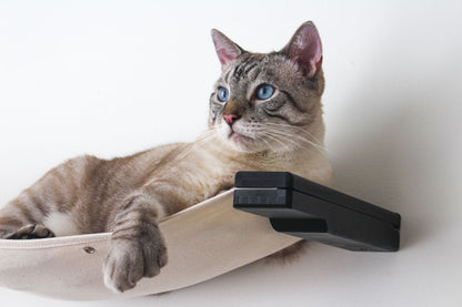 The Raceway - Wall Mounted Cat Hammock