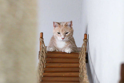 The Expedition - Cat Jungle Gym Wall System