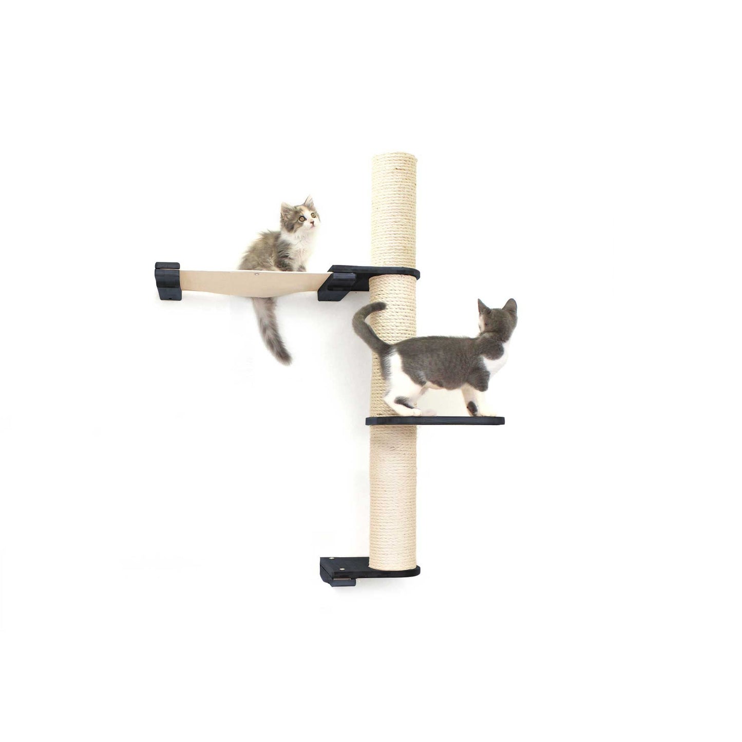 The Crow's Nest - A Wall Cat Scratcher with Hammock