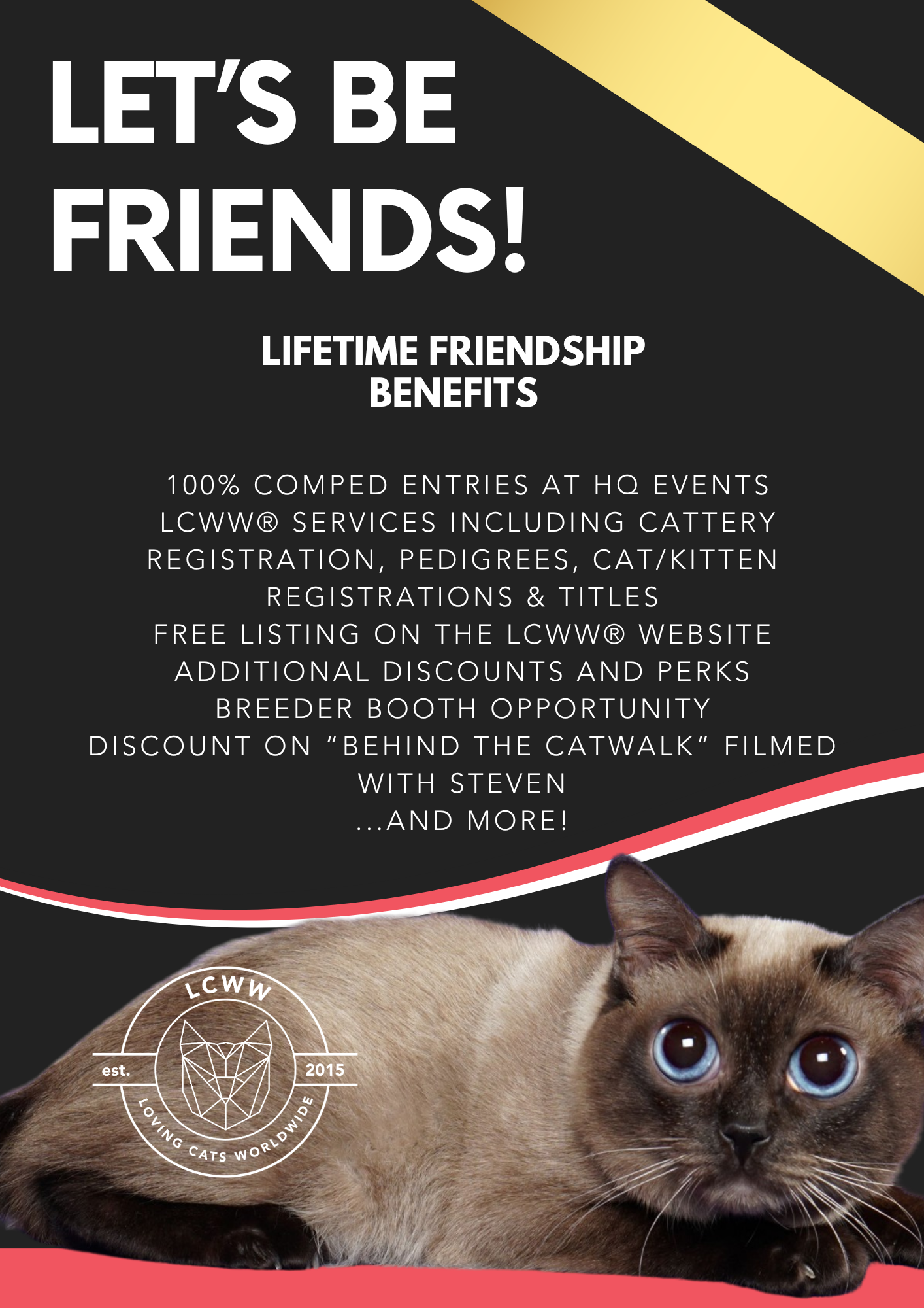 Lifetime Friendship - Cat Exhibitor