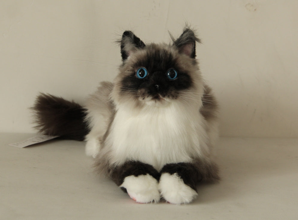 Siamese Cat Longhair MADE-TO-ORDER