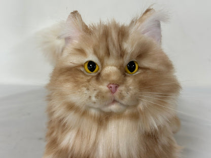 Ginger Cat Longhair Plush MADE-TO-ORDER