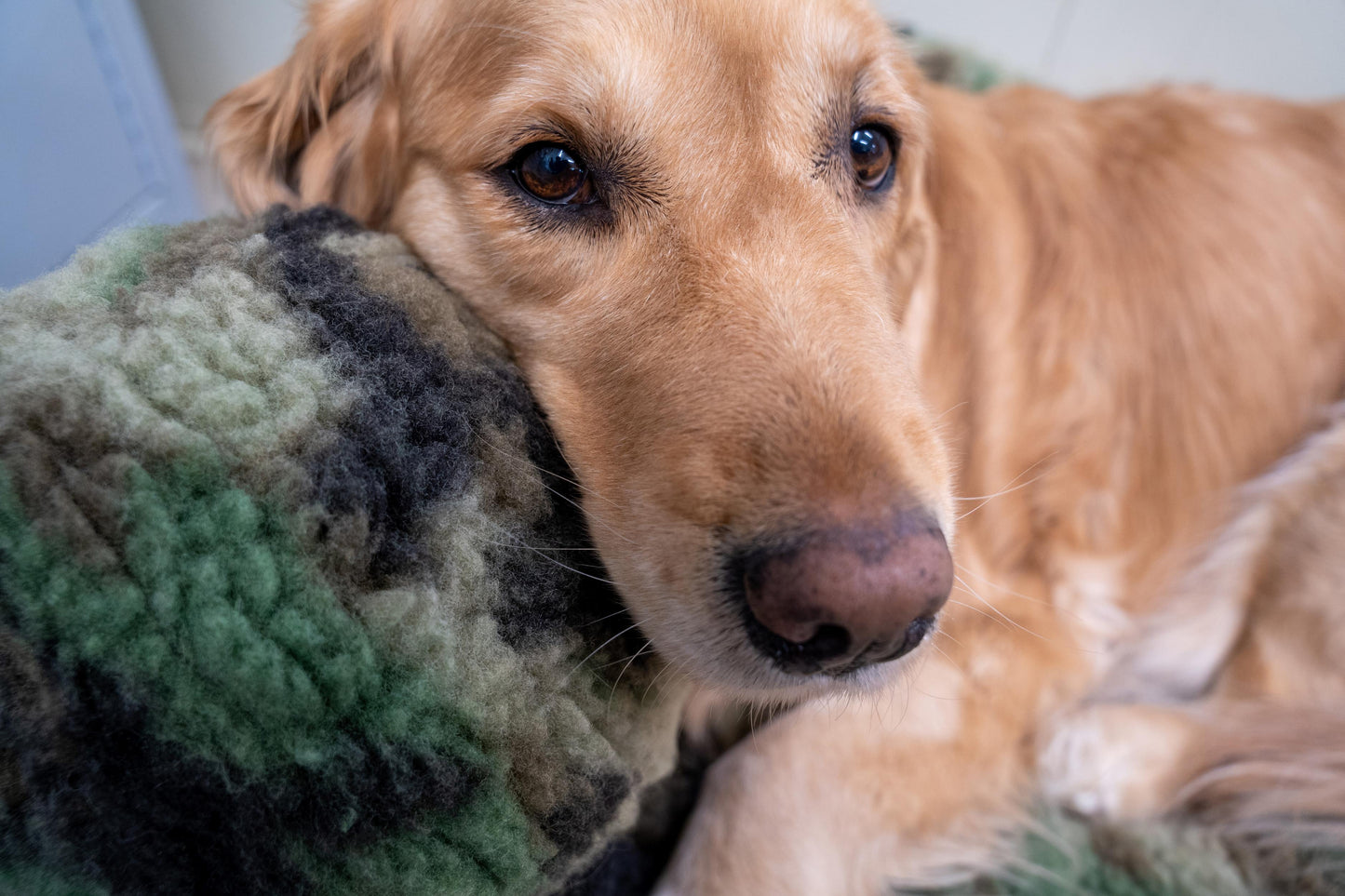 HuggleCause™, Warrior Canine Connection, Camouflage HuggleFleece® Plush Ball Dog Toy