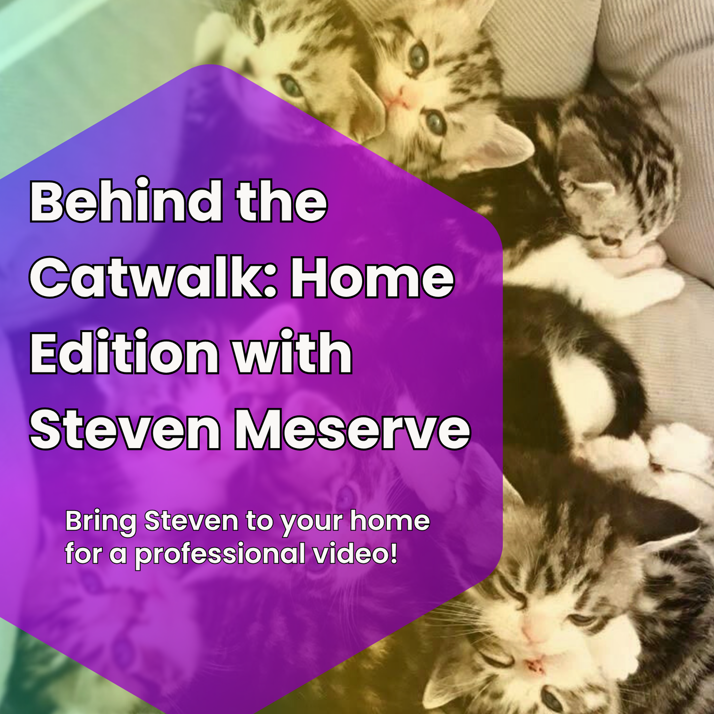 Behind the Catwalk: LCWW® Home Edition