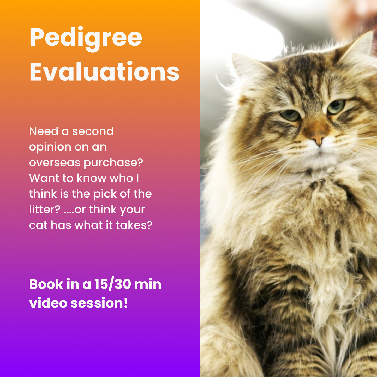 Pedigree Evaluations