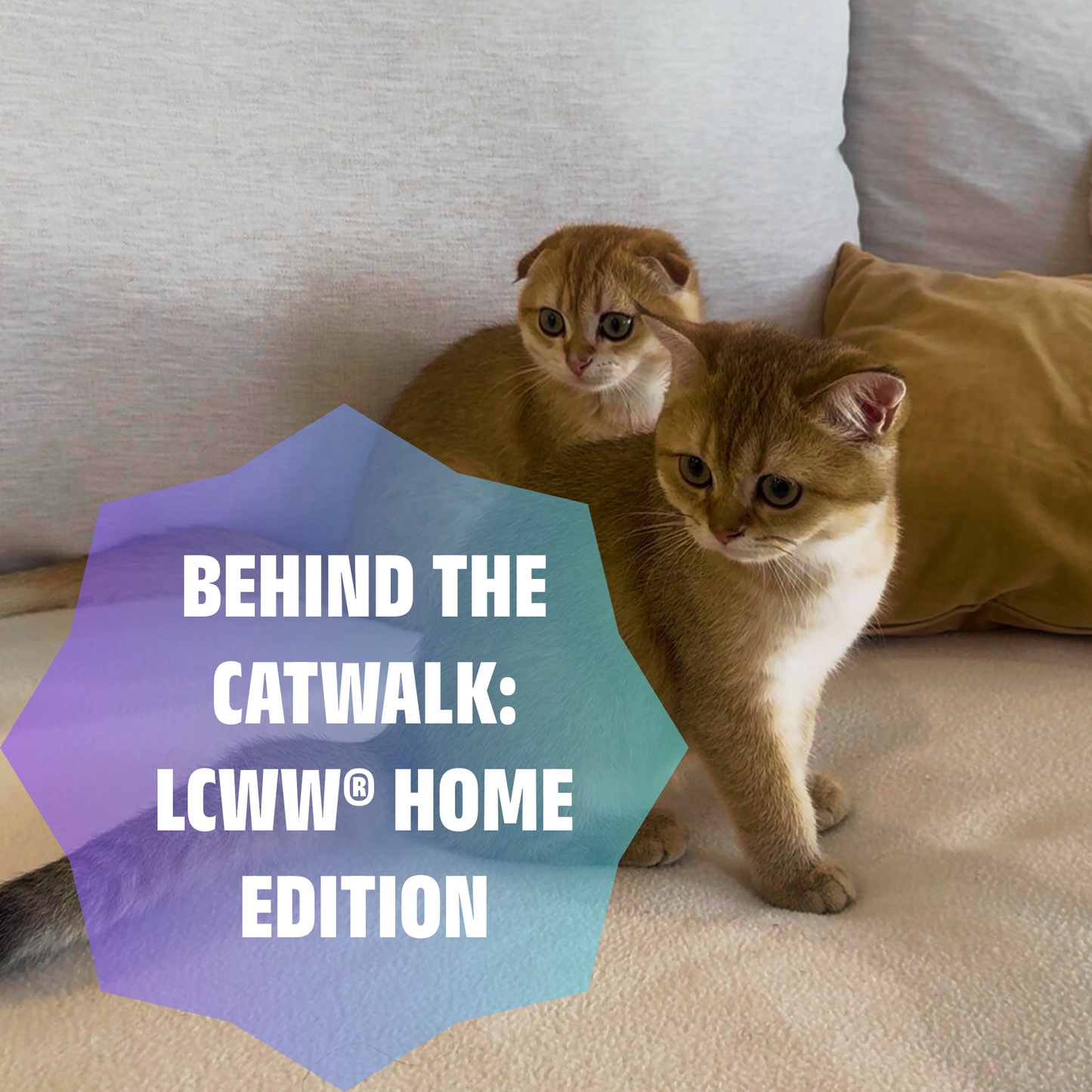 Behind the Catwalk: LCWW® Home Edition