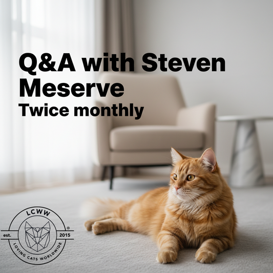 All Access Lifetime SuperFan