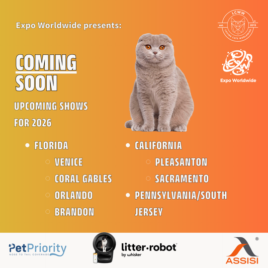 Coming Soon CATSTRAVAGANZA®