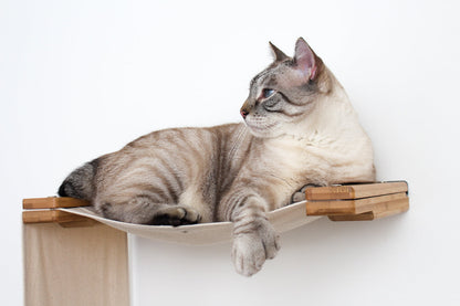 The Play - A Cat Play Wall System