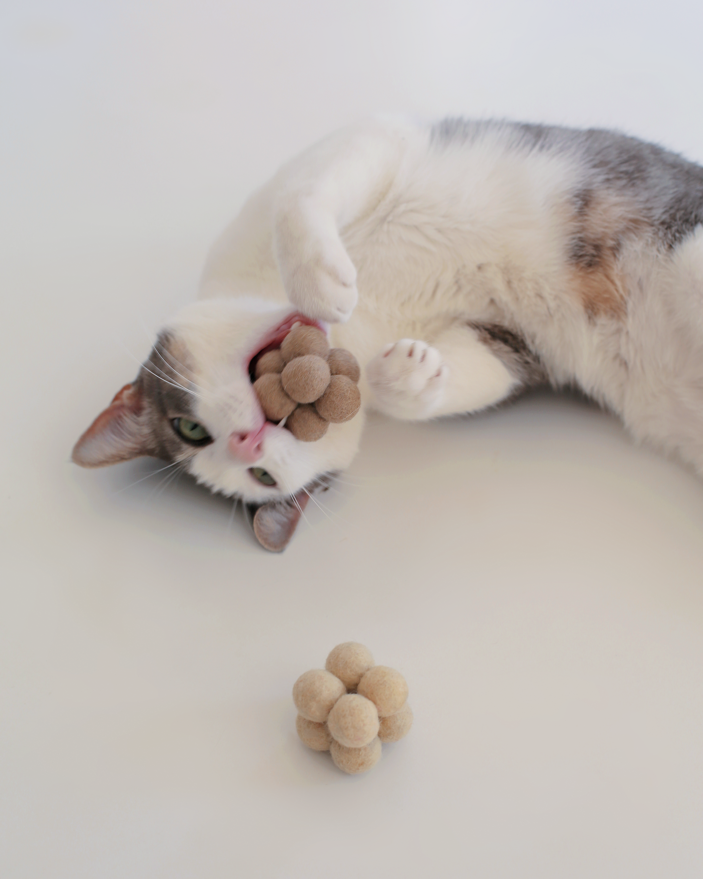 Pearl Toys