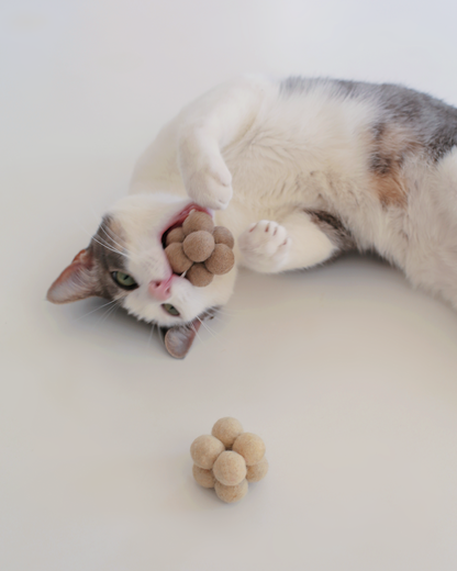 Pearl Toys