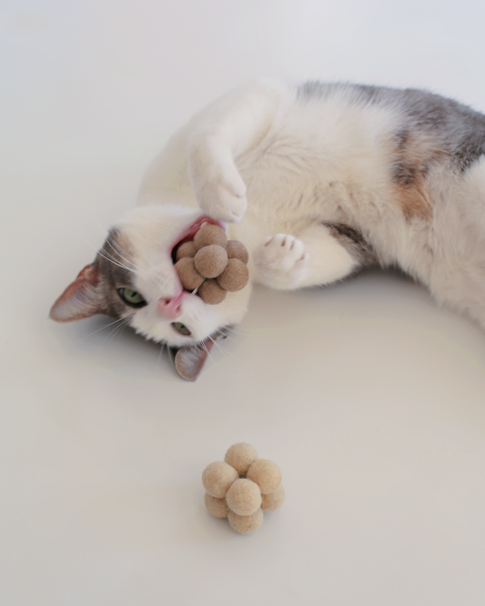 Pearl Toys