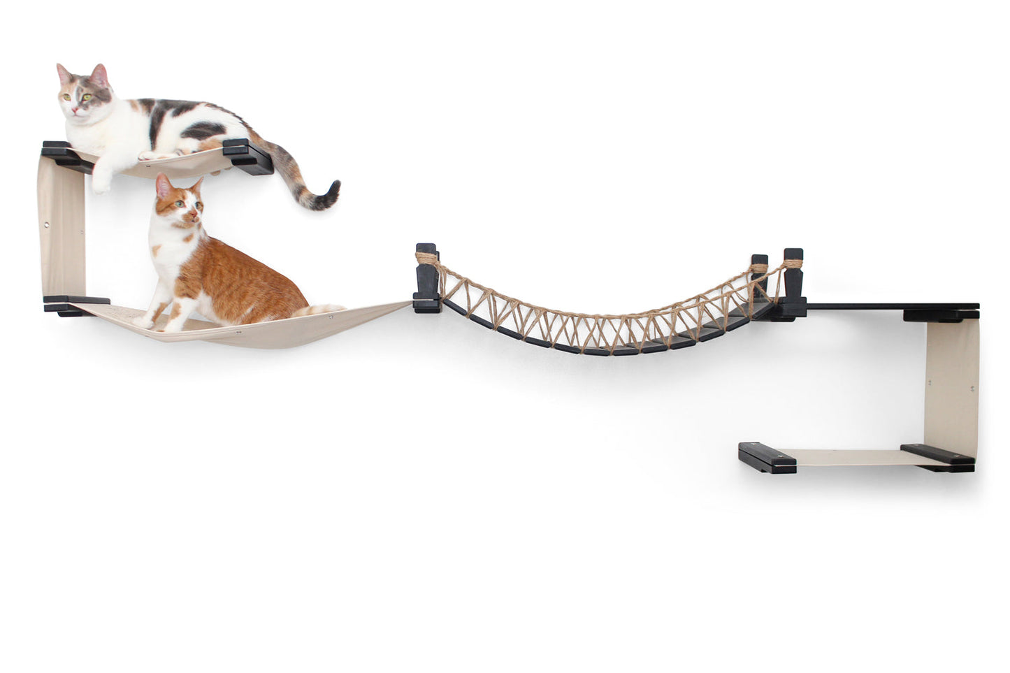 The Canyon - Our Best Cat Tree for Multiple Cats