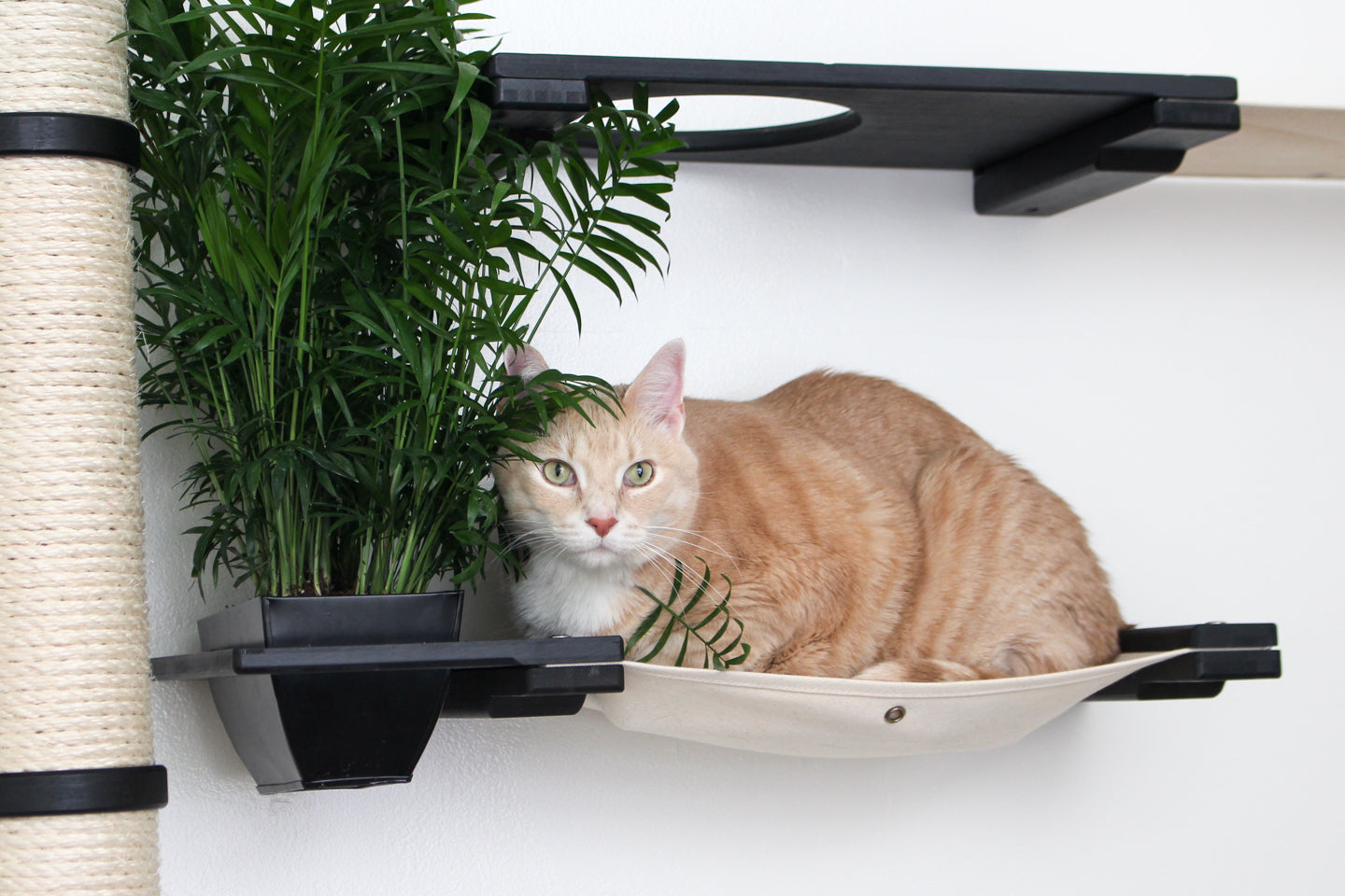 The Gardens - Modern Cat Tree with Plants