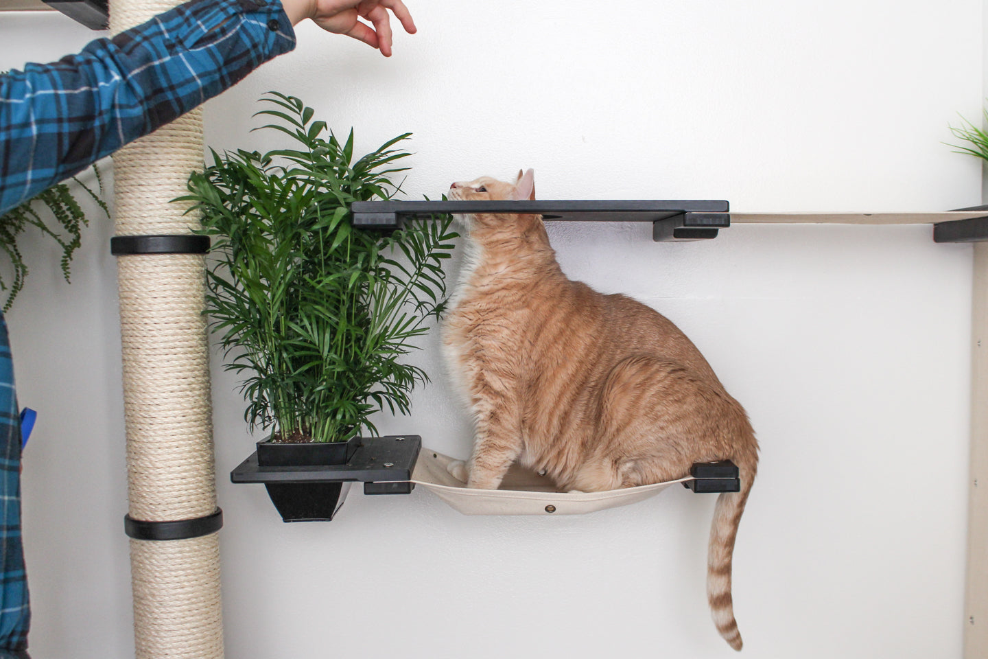 The Gardens - Modern Cat Tree with Plants