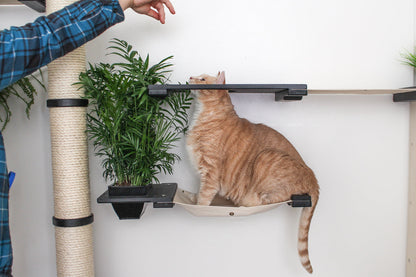 The Gardens - Modern Cat Tree with Plants