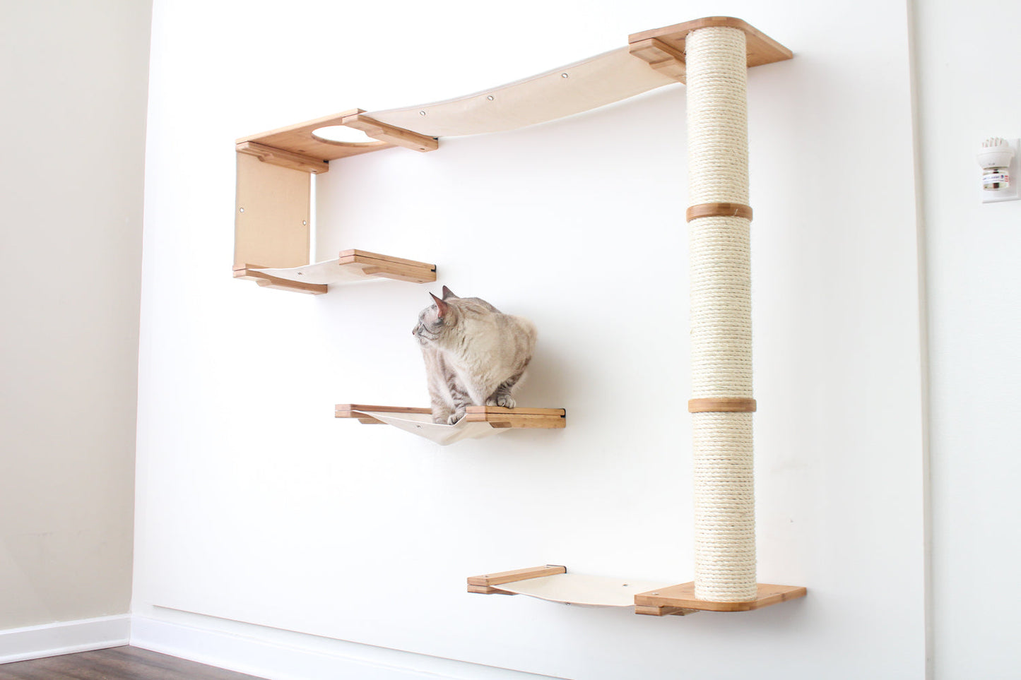 The Climb Condo - Cat Wall Climbing System