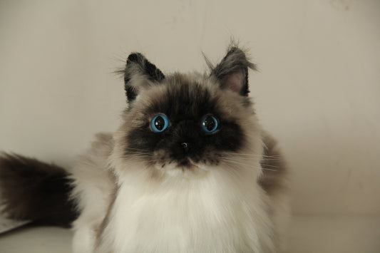 Siamese Cat Longhair MADE-TO-ORDER