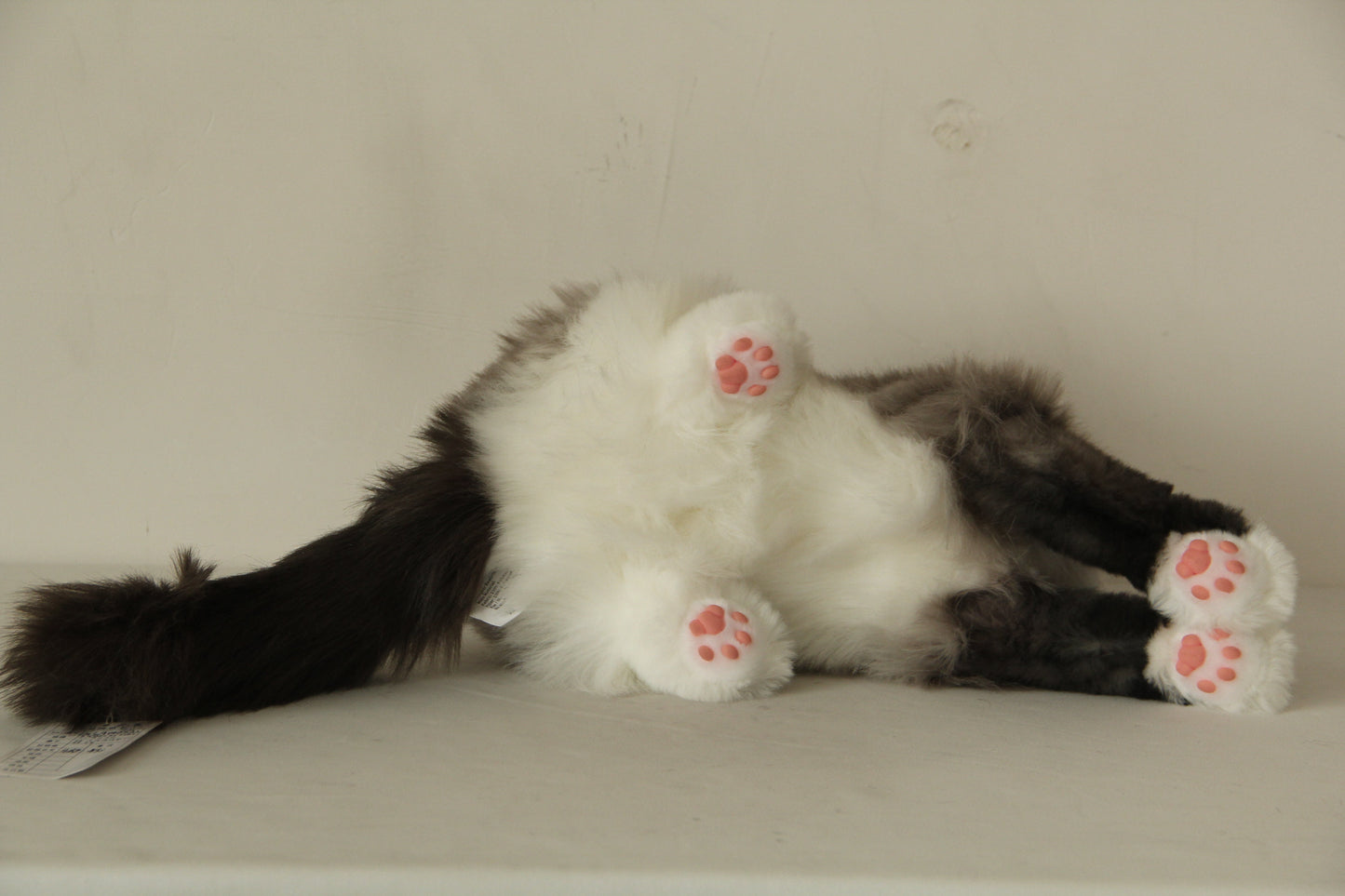 Siamese Cat Longhair MADE-TO-ORDER