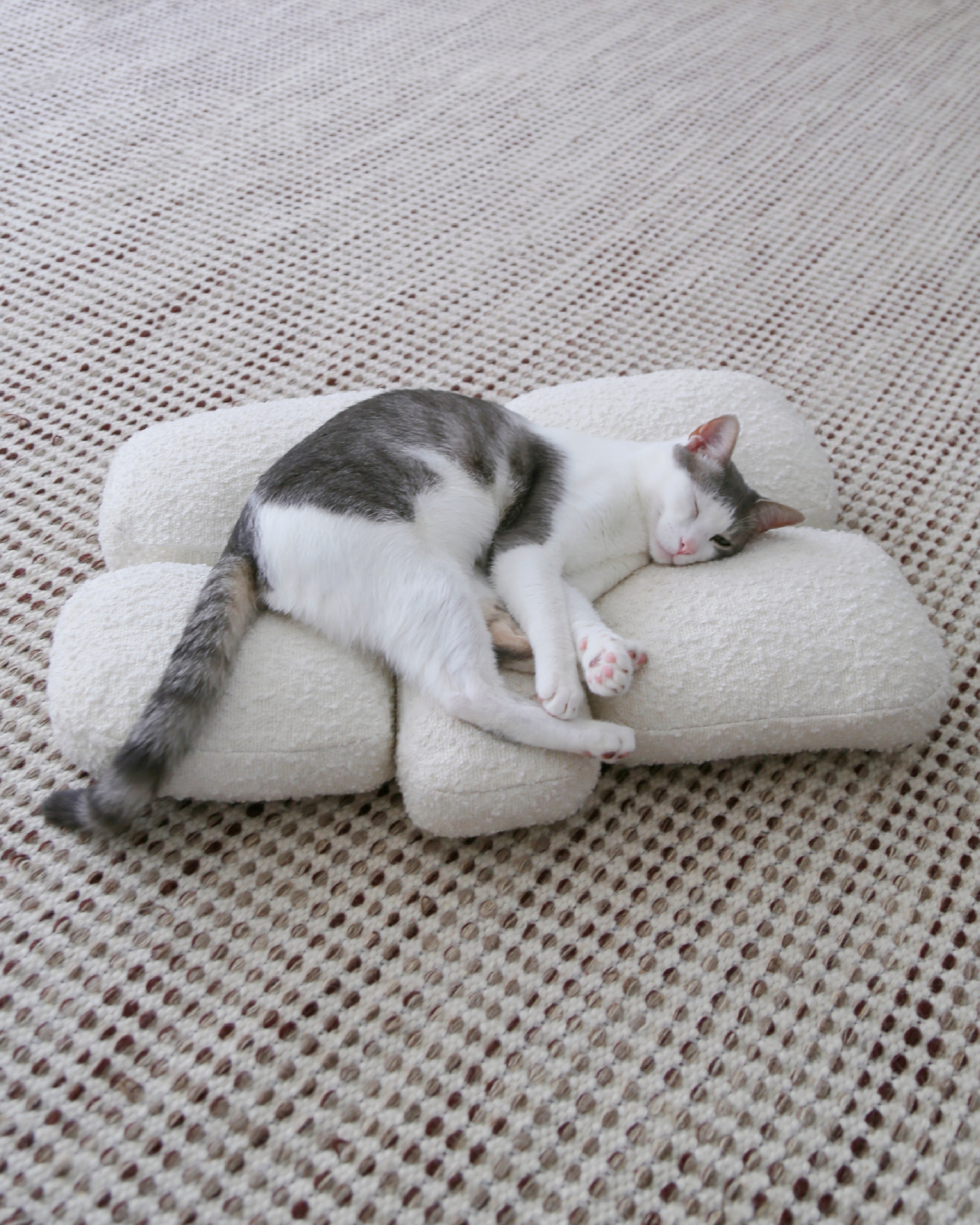 Pebble Bed