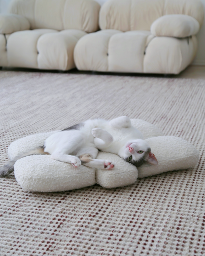 Pebble Bed