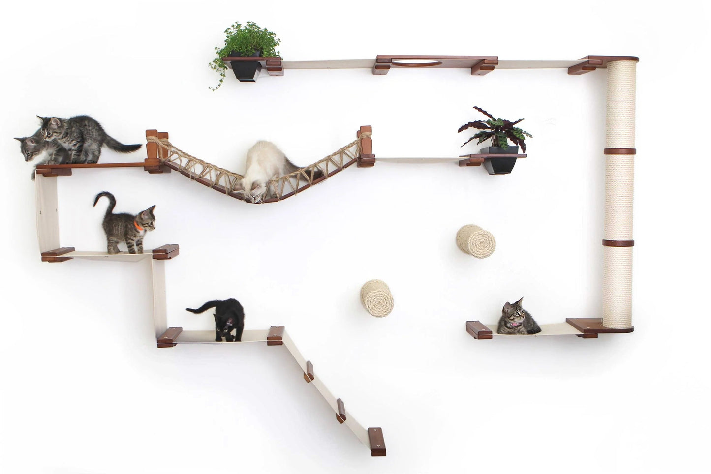 The Juggernaut - Indoor Cat Playground for Wall