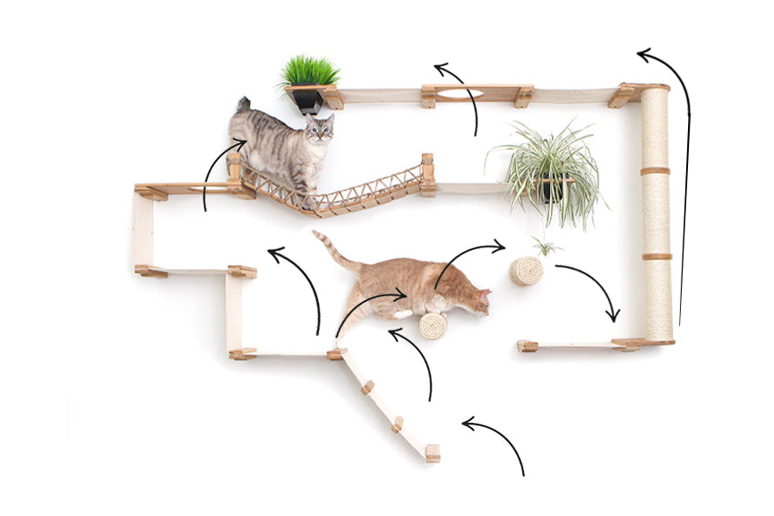The Juggernaut - Indoor Cat Playground for Wall