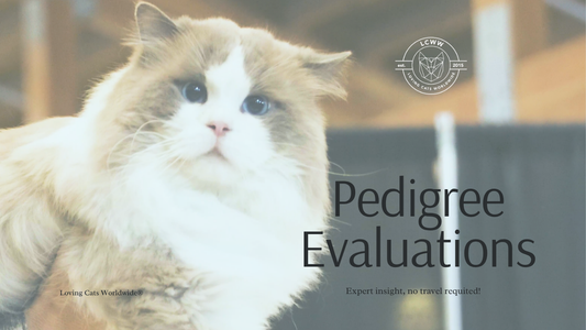 Pedigree Evaluations