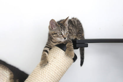 The Crossroads - Cat Wall Scratcher - Tree with Ramp