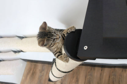 The Crossroads - Cat Wall Scratcher - Tree with Ramp