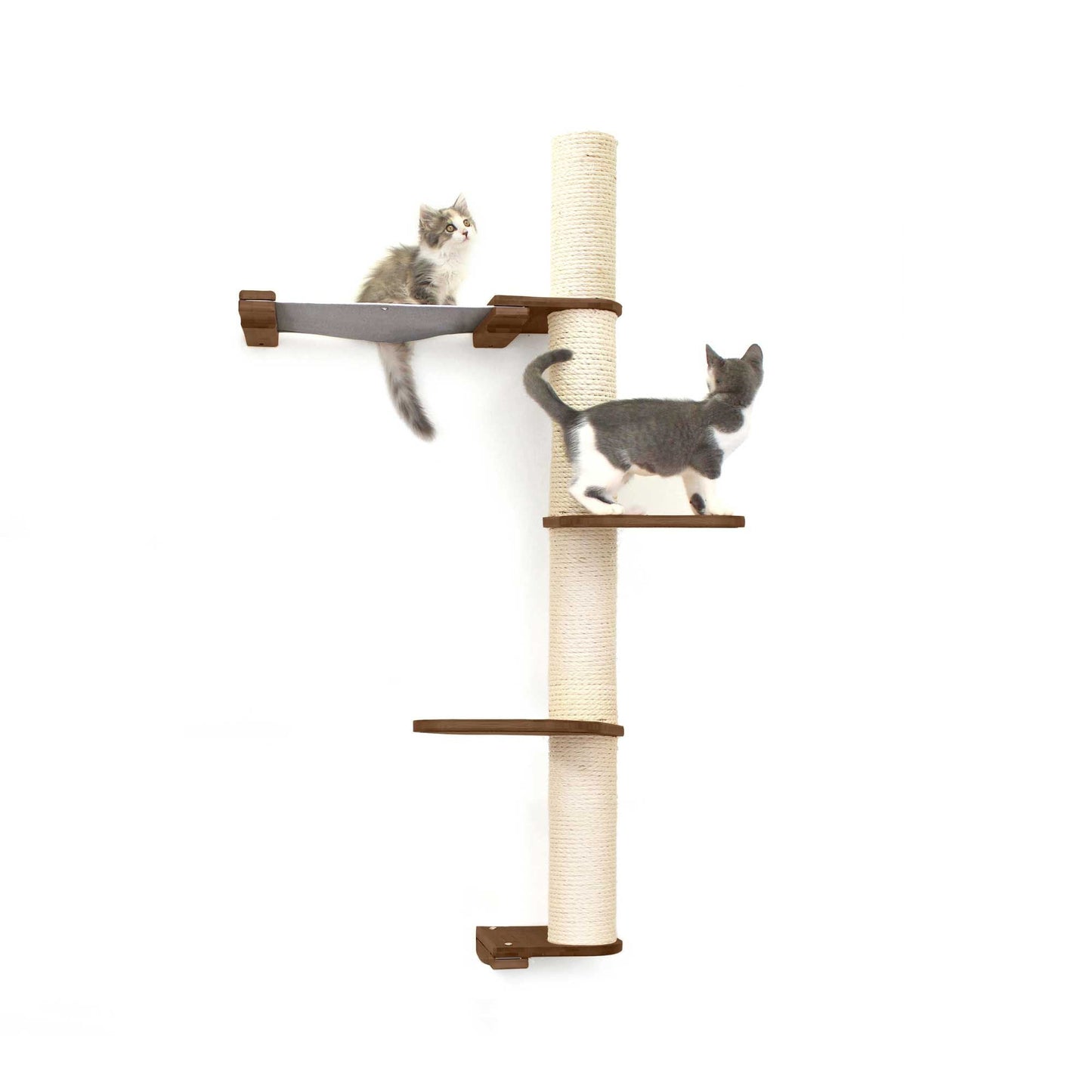 The Crow's Nest - A Wall Cat Scratcher with Hammock