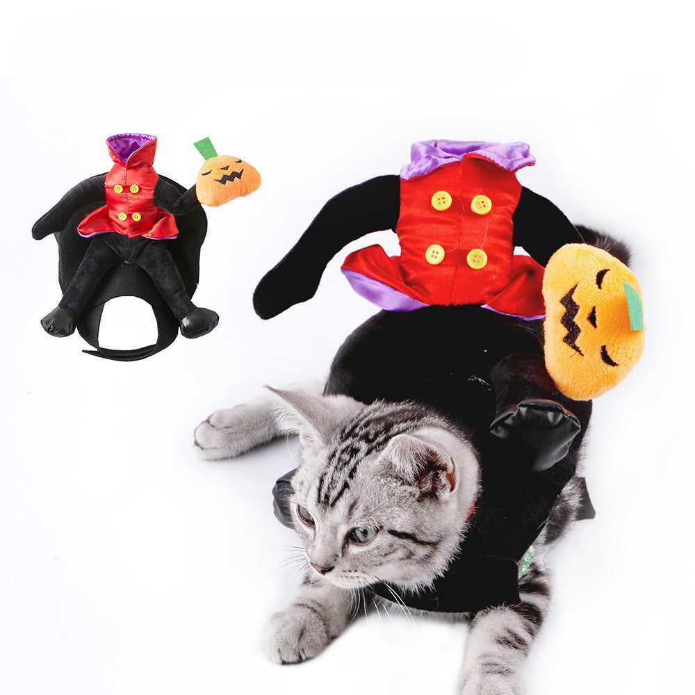 Dog & Cat Headless Rider Costume with Plush Pumpkin