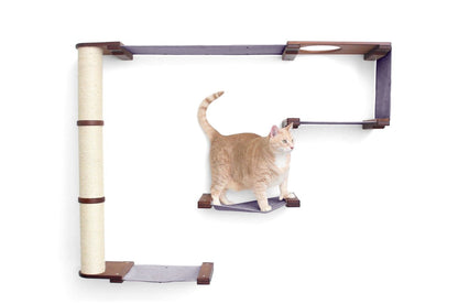 The Climb Condo - Cat Wall Climbing System