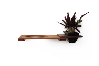 Cat Plant Stand for Wall