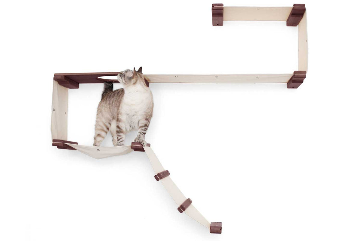 The Play - A Cat Play Wall System – Loving Cats Worldwide®