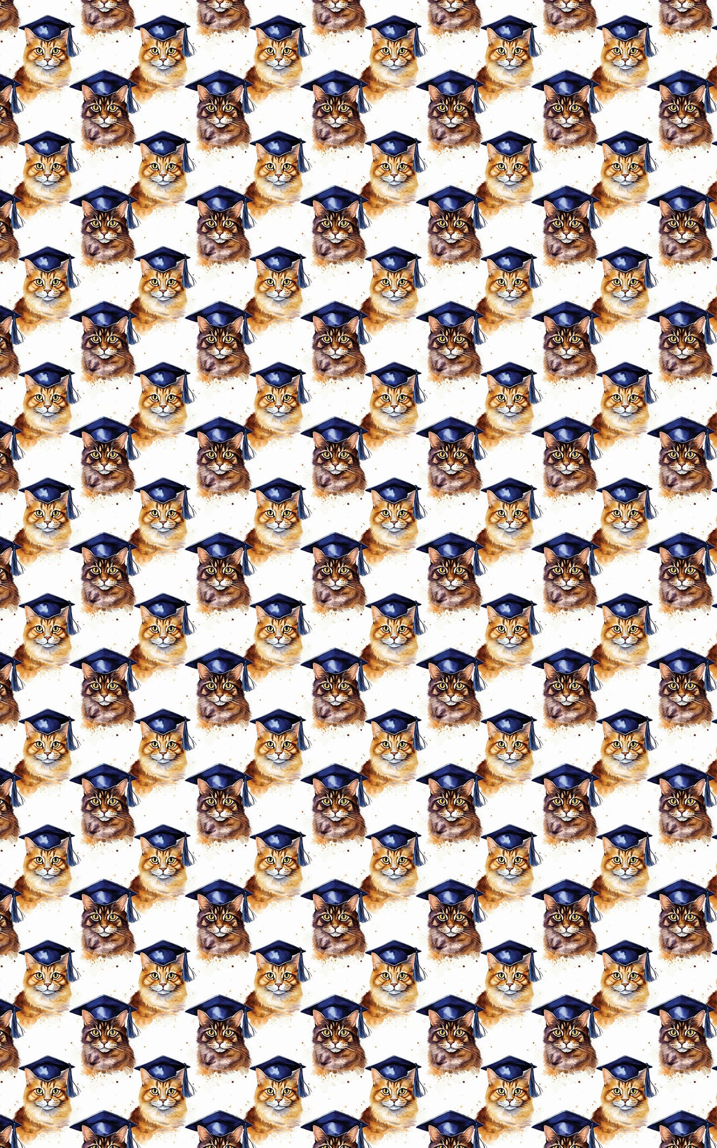 The Academic Catwalk