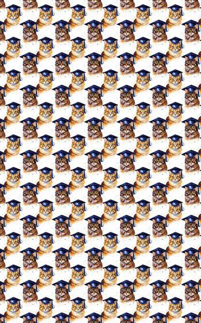 The Academic Catwalk