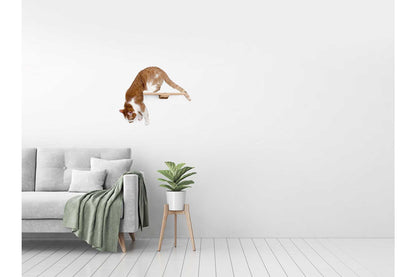Cat Perch - Wall Mounted and Wooden