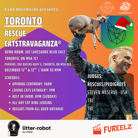 Toronto Rescue CATSTRAVAGANZA® Saturday & Sunday Dec 12 & 13, 2026