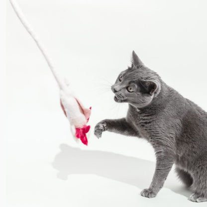 A Little 'Lotl - An Axolotl Wool Cat Toy