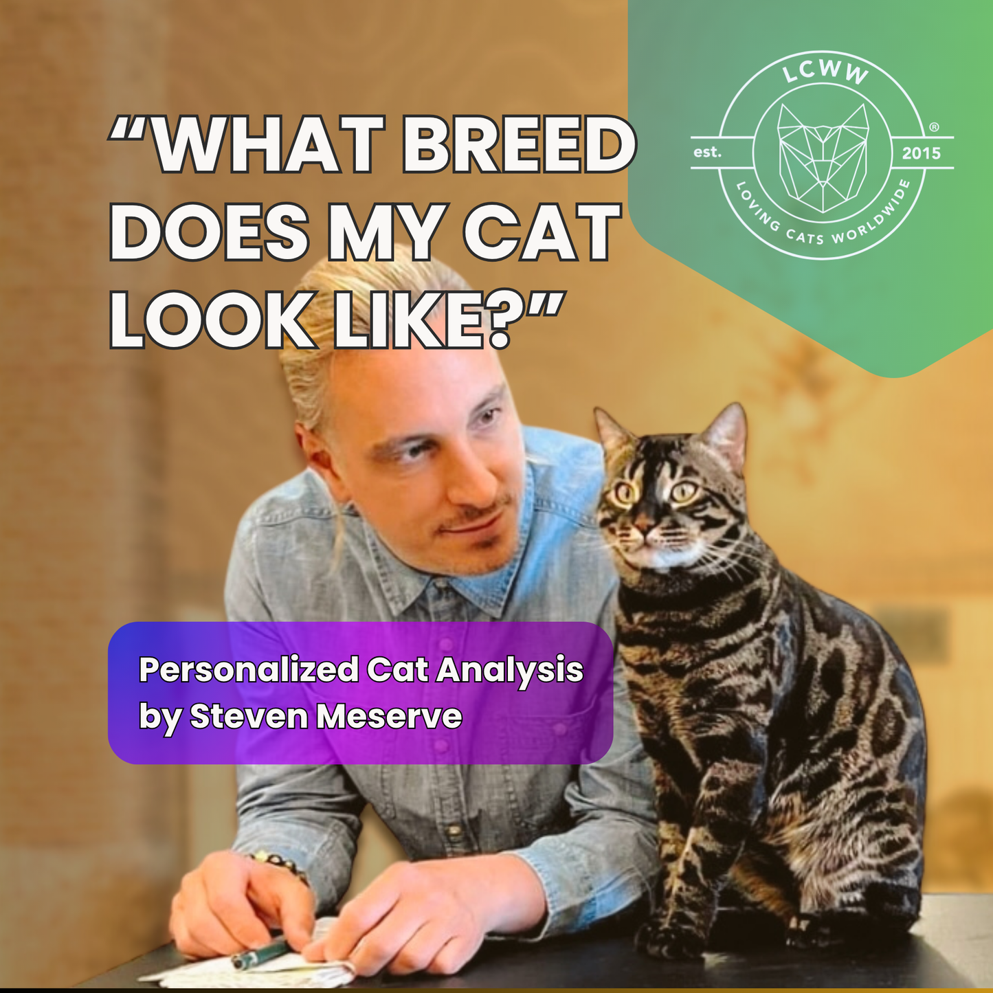 What Breed Does My Cat Look Like? | Cat Analysis by Steven Meserve