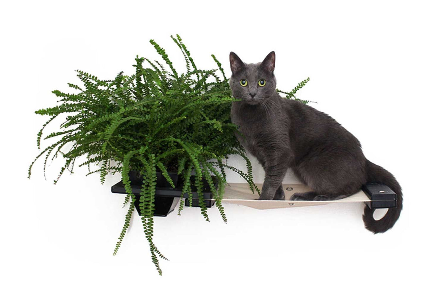 Cat Hammock Wall with Planter