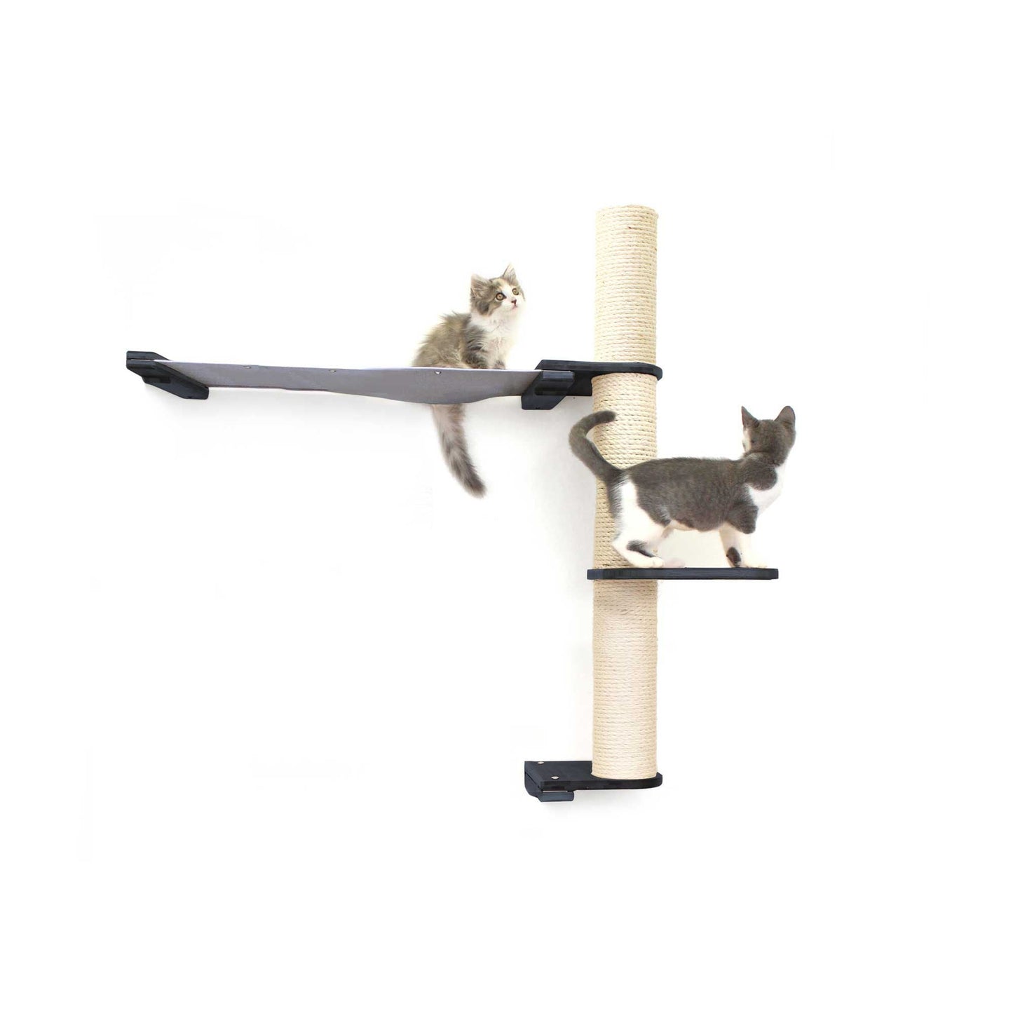 The Crow's Nest - A Wall Cat Scratcher with Hammock