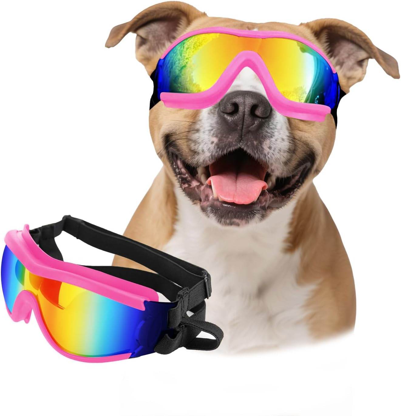 Protect Your Large Dog's Eyes with PETLESO Goggles – Loving Cats Worldwide®