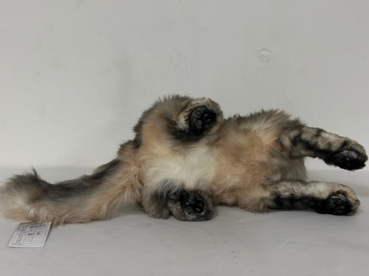 Plush American Tabby Cat Longhair Order to Make