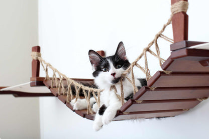 Double Cat Hammock and Climbing Bridge Combo