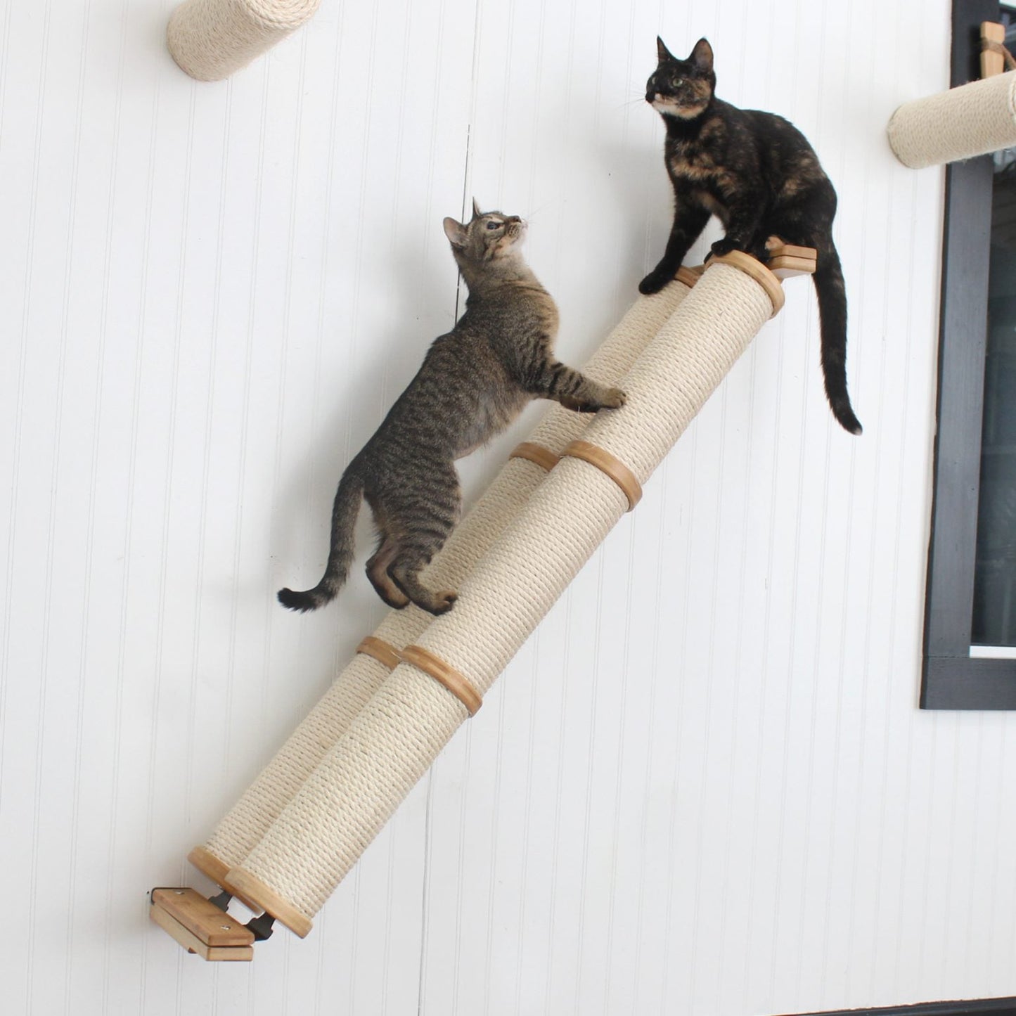 Slanted Cat Scratcher for Wall