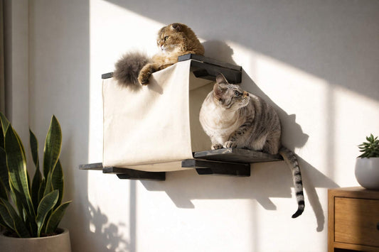 Cat Cubby for Wall - Covered Cat Bed