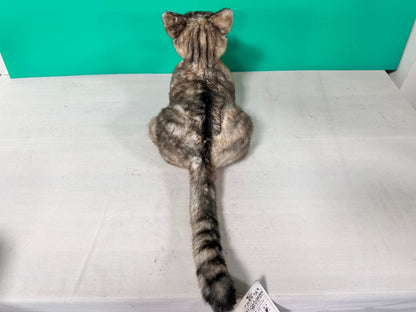 Plush American Shorthair Order to Make